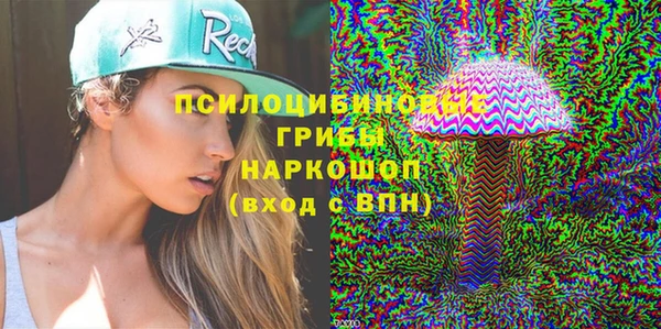 ГАЛЛЮЦИНОГЕННЫЕ ГРИБЫ Медногорск
