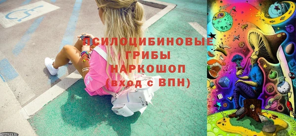 винт Медвежьегорск