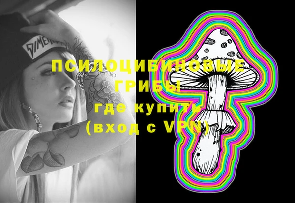 ГАЛЛЮЦИНОГЕННЫЕ ГРИБЫ Медногорск