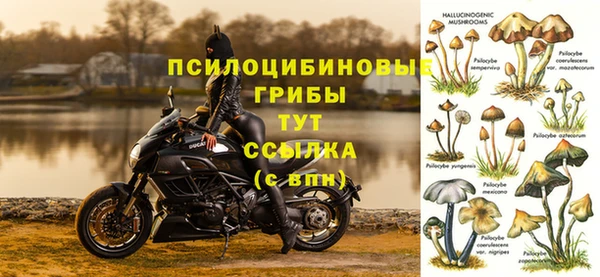 винт Медвежьегорск