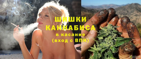 ГАЛЛЮЦИНОГЕННЫЕ ГРИБЫ Медногорск