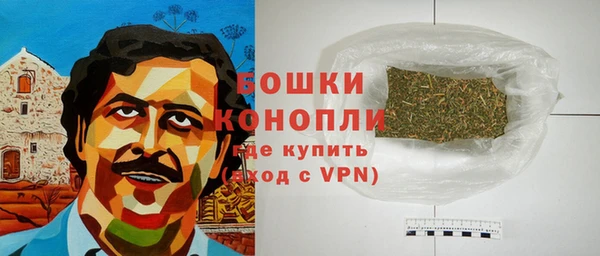 ГАЛЛЮЦИНОГЕННЫЕ ГРИБЫ Медногорск