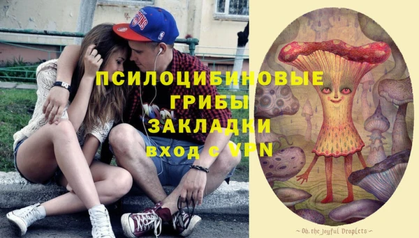 винт Медвежьегорск